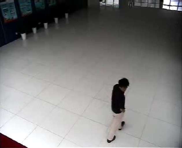 人物追踪、PTZ监视跟踪_IER大厅